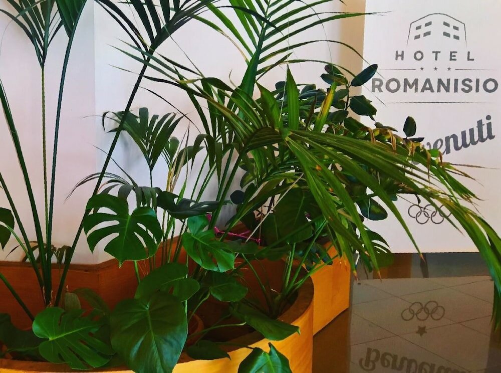 Фото Hotel Romanisio