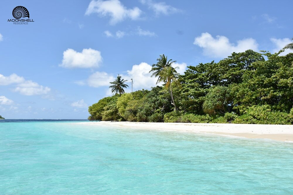 Фото Moonshell Residence