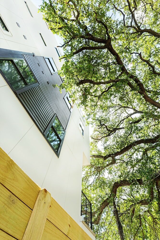 Фото Montrose Guesthouse Suites