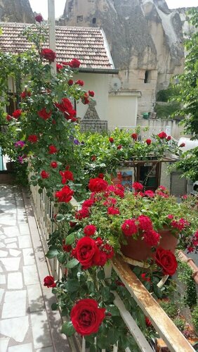 Гостиница Anatolia Cave Hotel в Гёреме