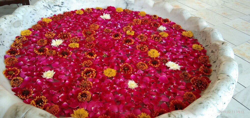 Фото Abhyaran Resort Ranthambore