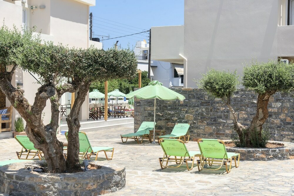 Фото Olive Grove