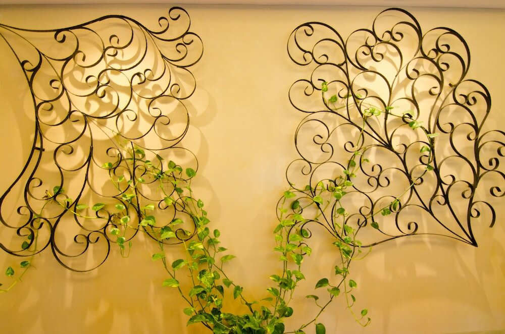 Фото MyDream Homestay