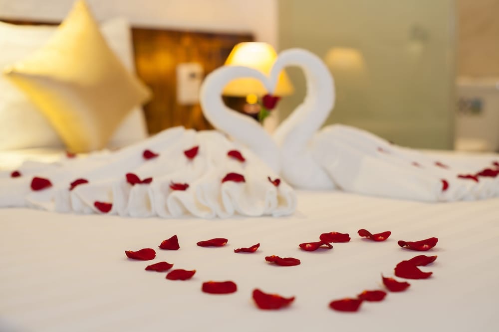 Фото Luxury Backpakers