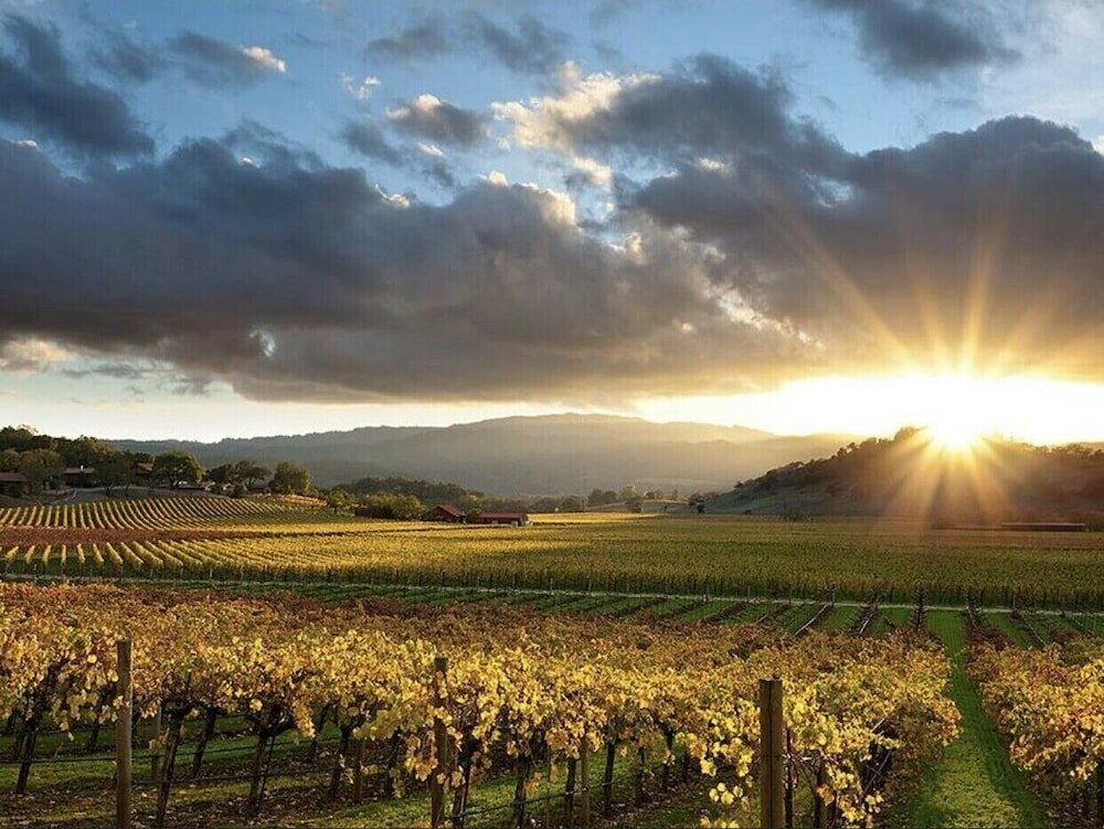 Фото California Villas y Hotel