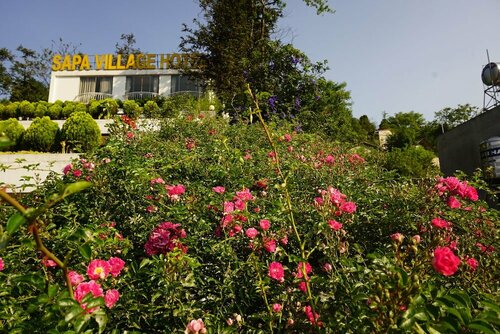 Гостиница Sapa Village Hotel