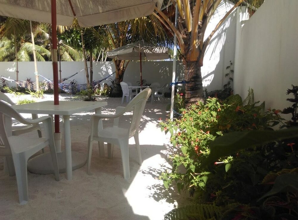 Фото Palm Garden