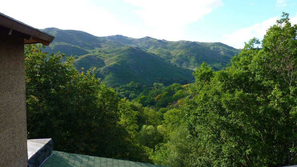 Фото Eco-Bungalow