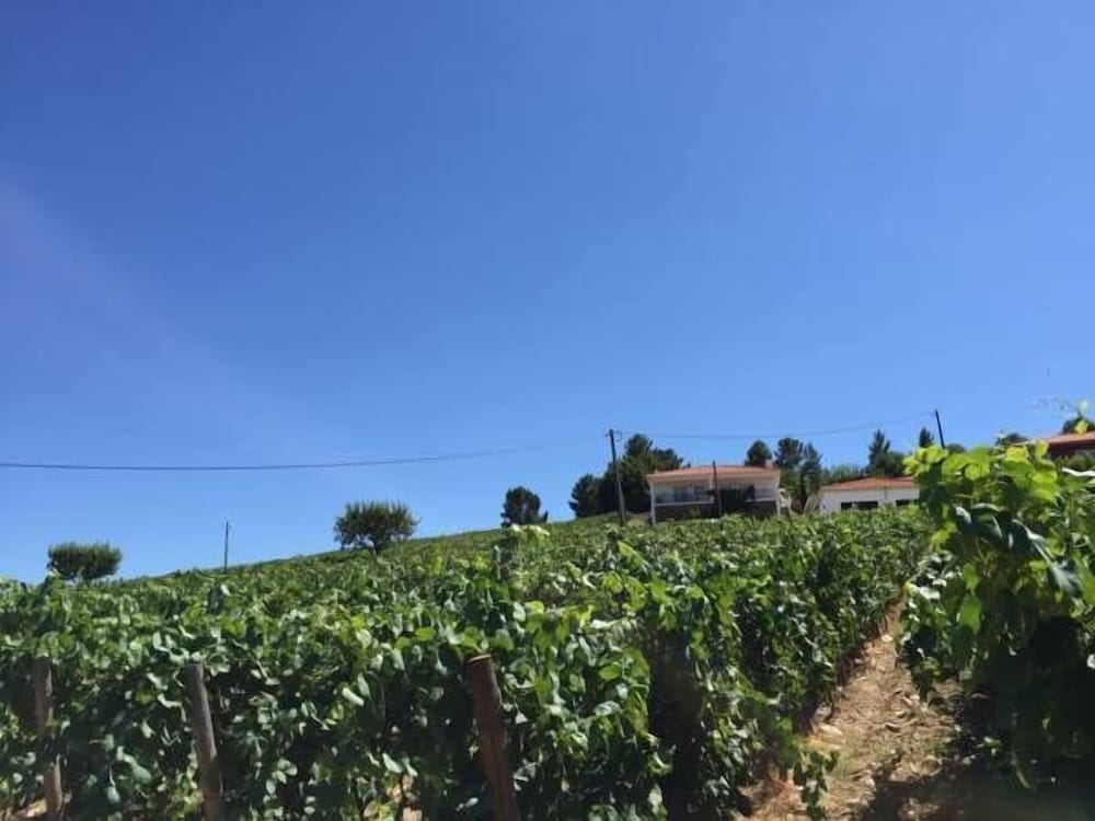 Фото Quinta dos Espinheiros