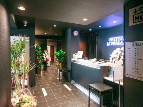 Гостиница Hotel LiVEMAX Yokohama Kannai Ekimae в Йокогаме