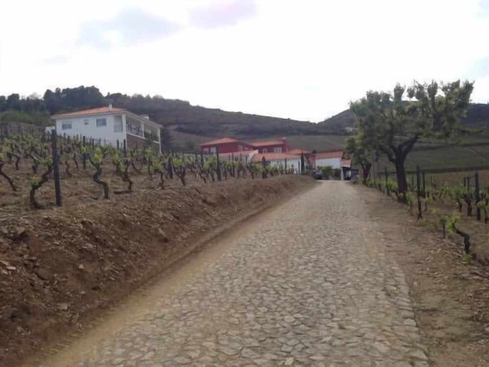 Фото Quinta dos Espinheiros