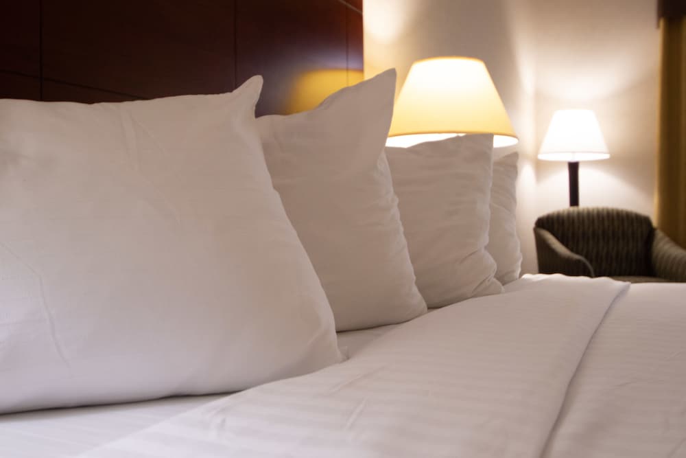 Фото Holiday Inn Express Hotel & Suites Manteca, an Ihg Hotel