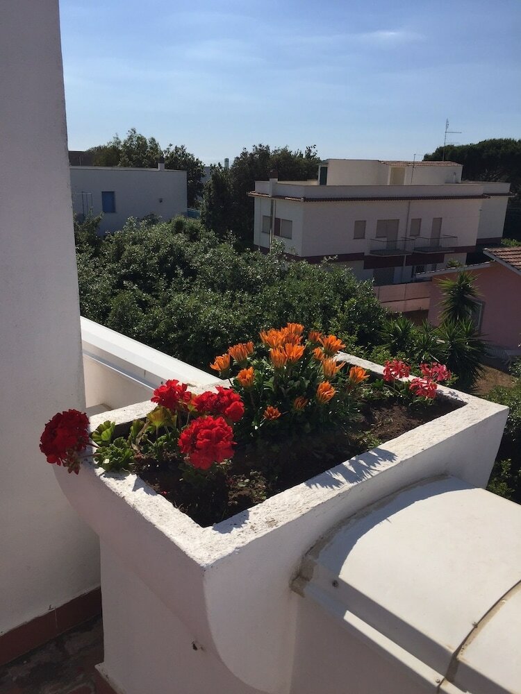 Фото Lavinio Terrace