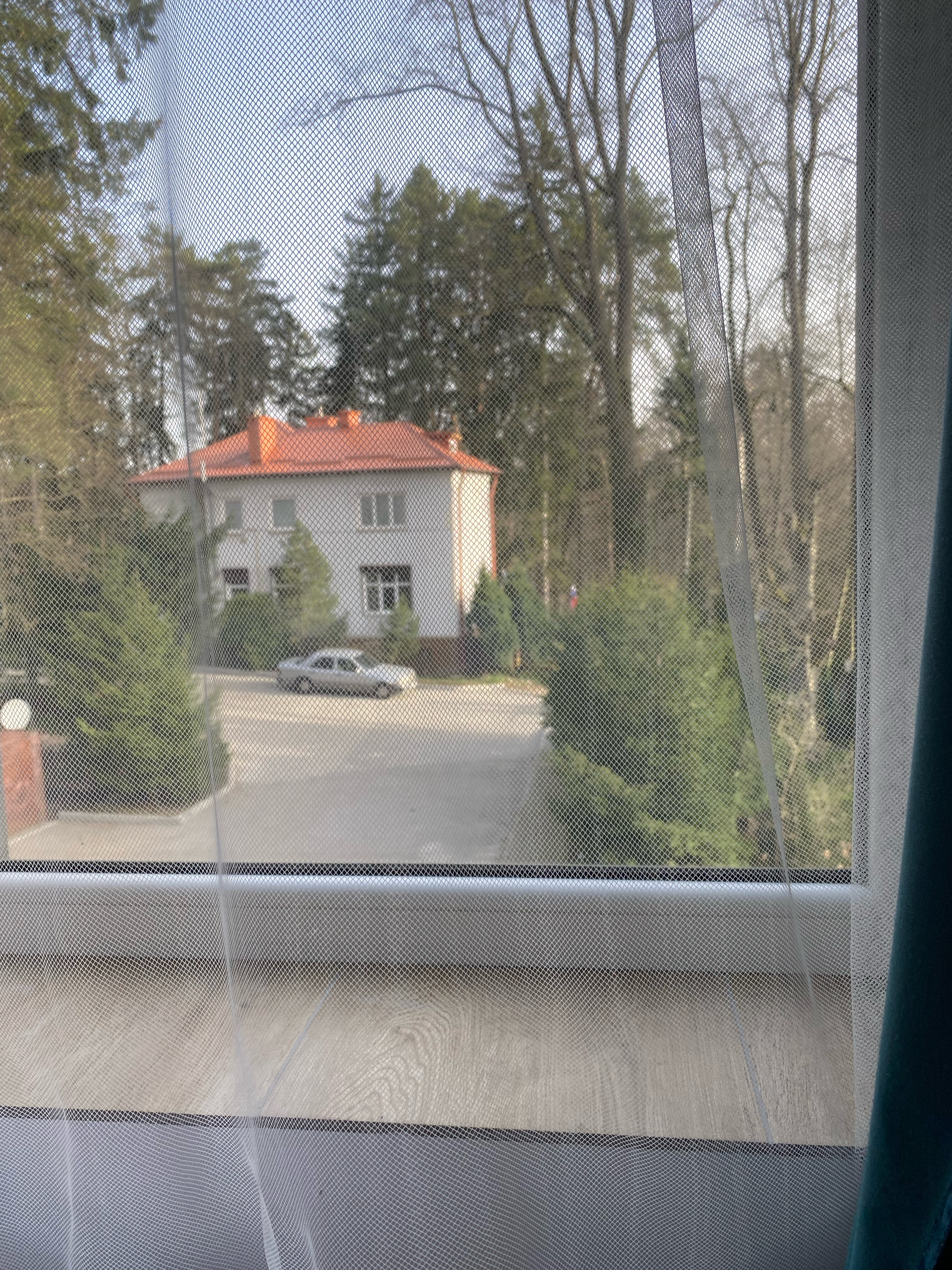 Фото Whale apart