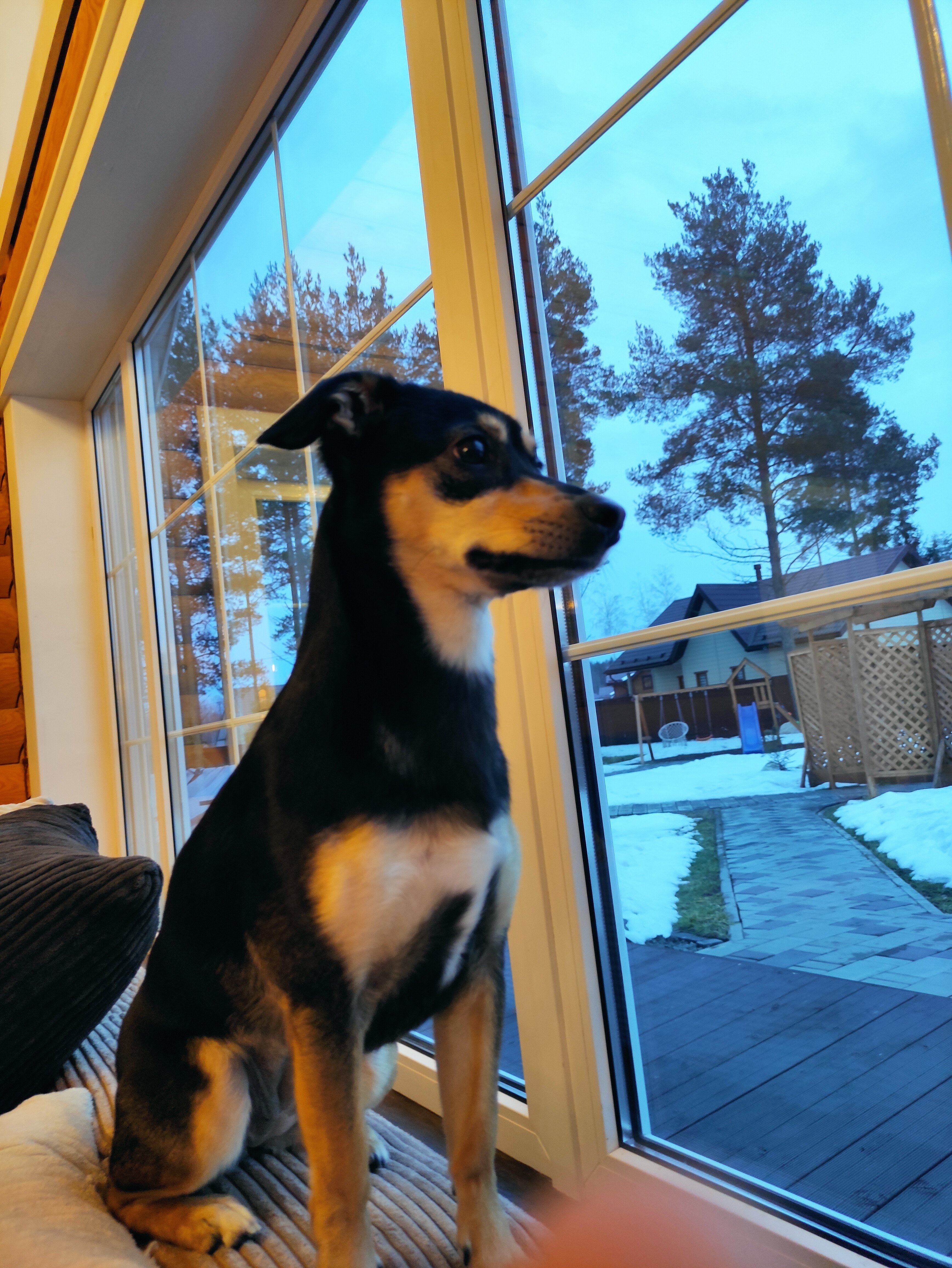 Фото Шуйская Слобода