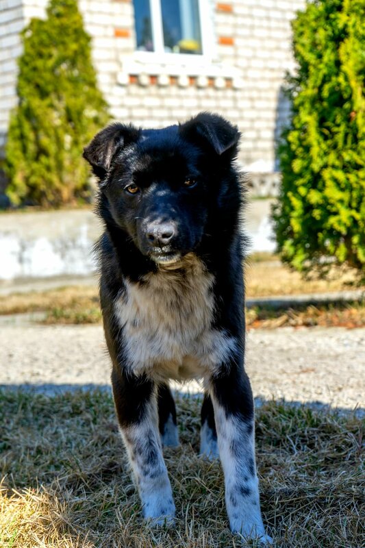 Деревня Сыроваров — фото 24