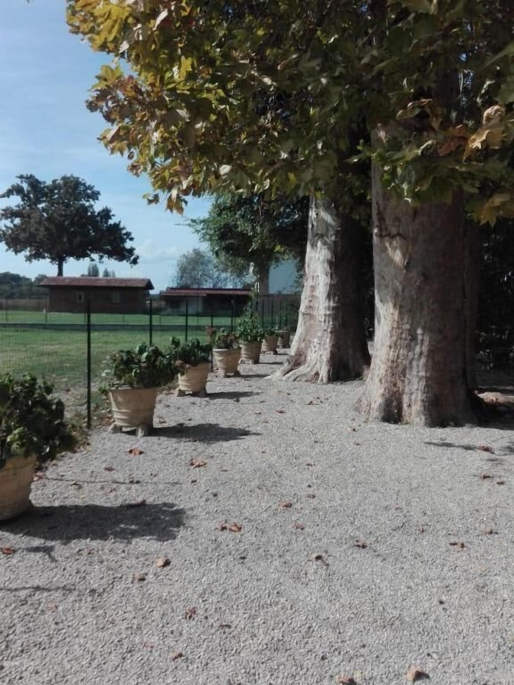 Фото Ca' Musiari Dimora storica dal 1847