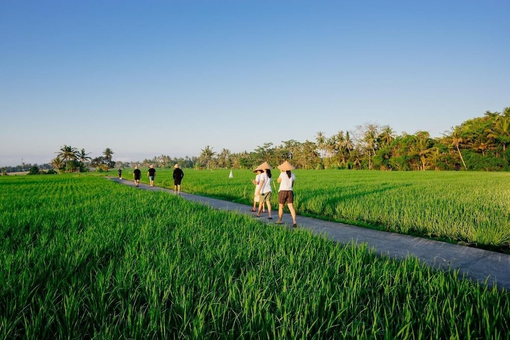 Фото Bakungan diJero Homestay