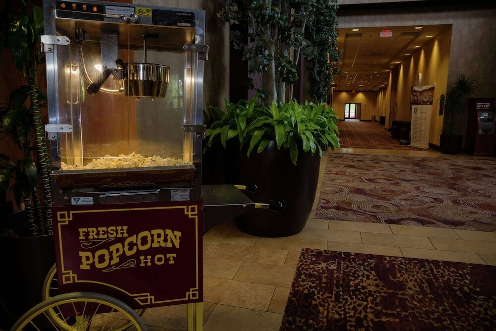 Фото Embassy Suites by Hilton Minneapolis North