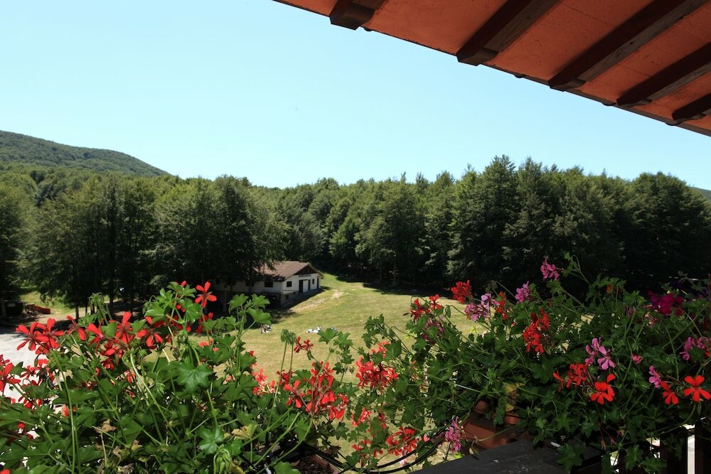 Фото Albergo Le Macinaie