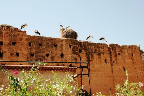 Гостиница Hotel Riad Carina в Марракеше