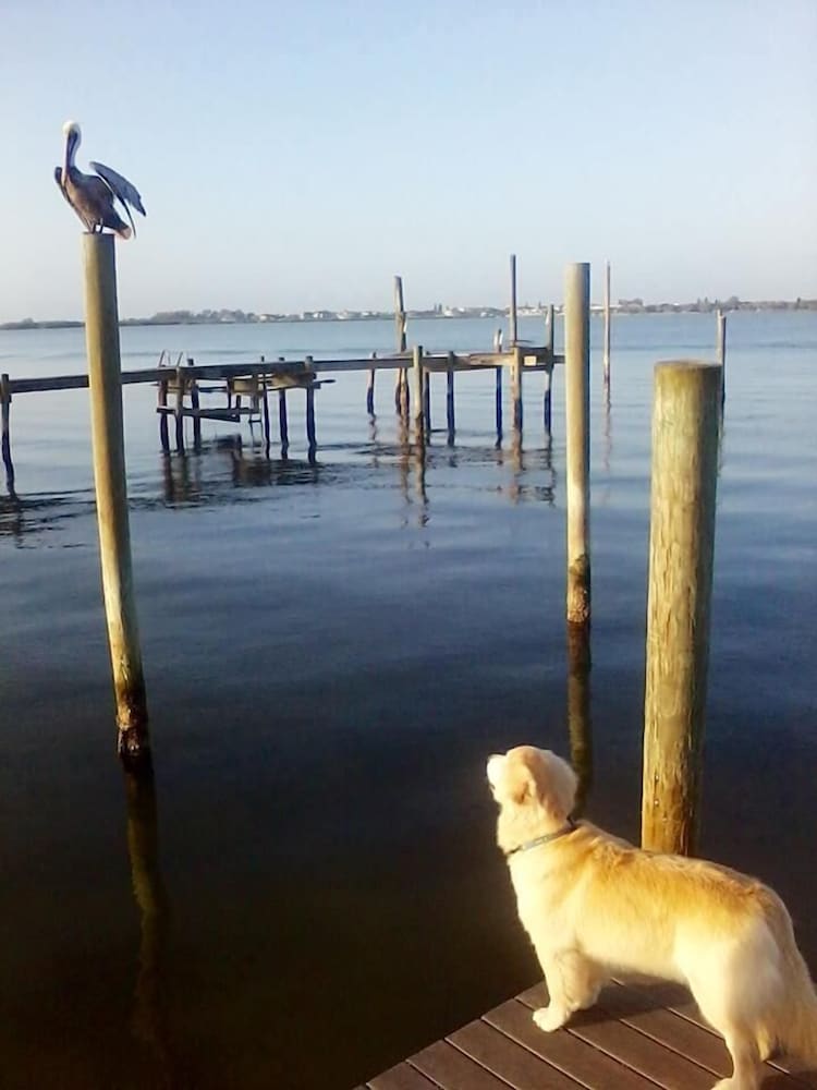 Фото Paradise Cove at Lemon Bay