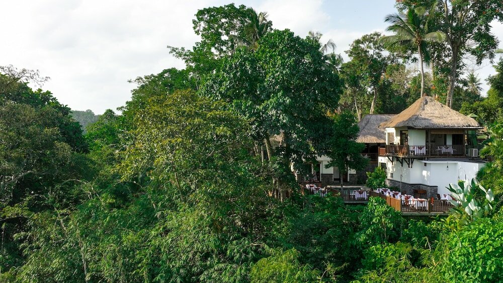 Фото 196941429882