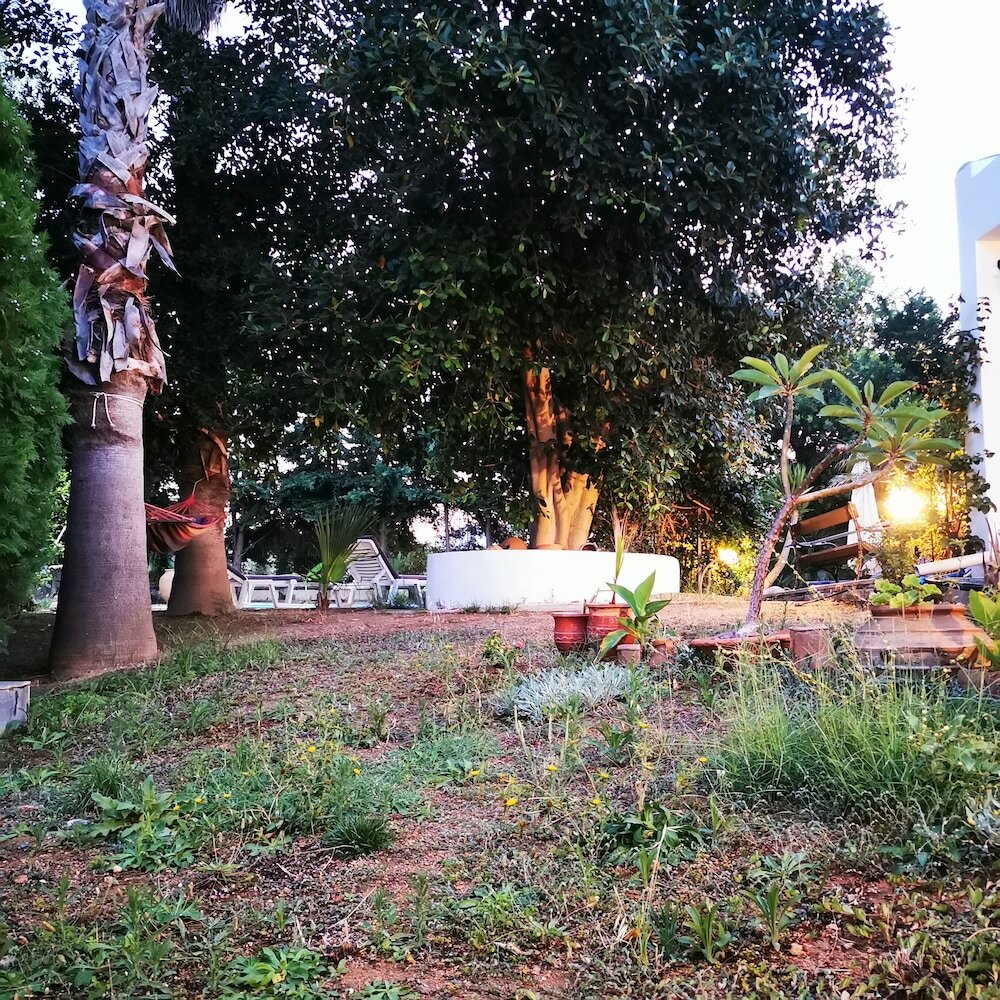 Фото Villa Irene