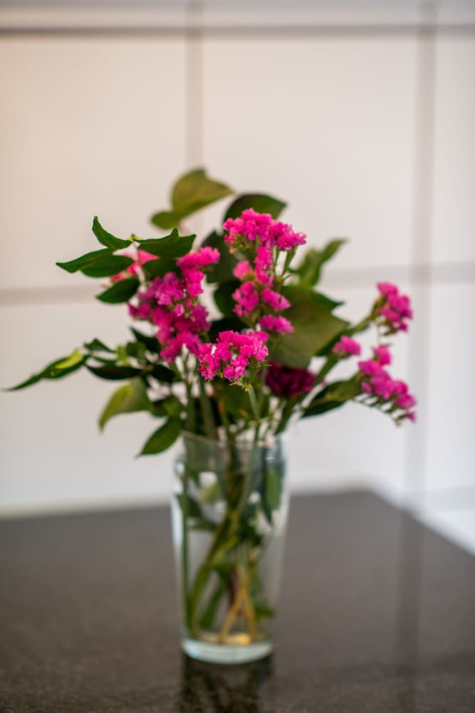 Фото 5th Avenue Gooseberry Guest House