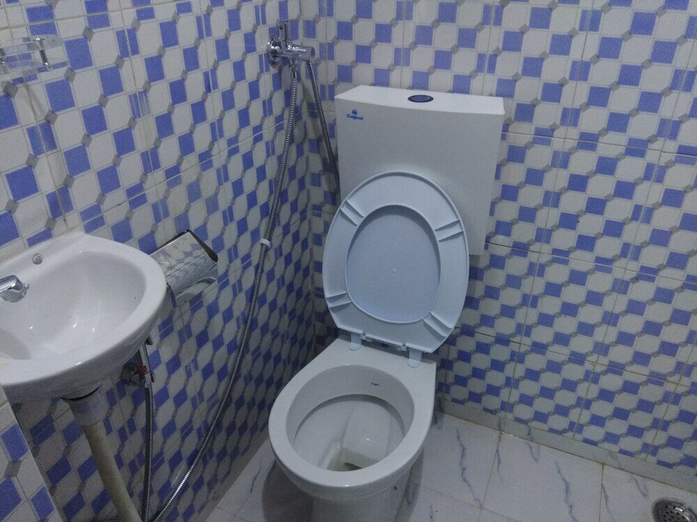 Фото Hotel Zamarrud Palace