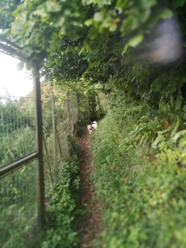 Фото Rustico Vista Lago