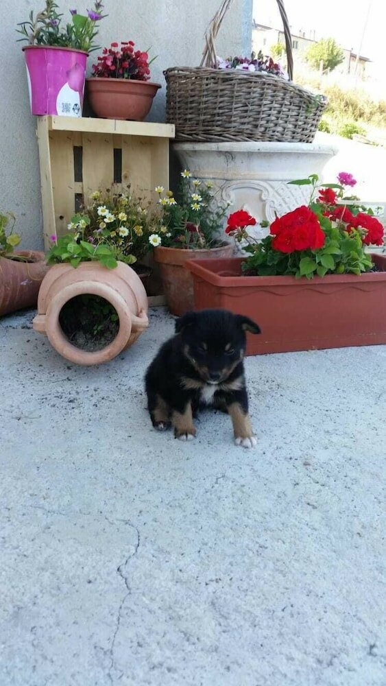 Фото B&b La Vecchia 500