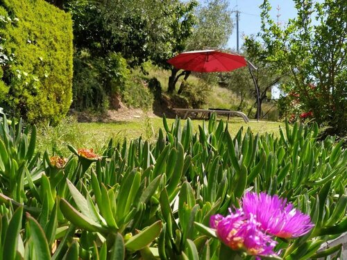 Гостиница Il Murice B&b