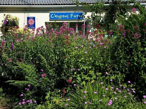 Гостиница St Ives BnB at Chypons Farm