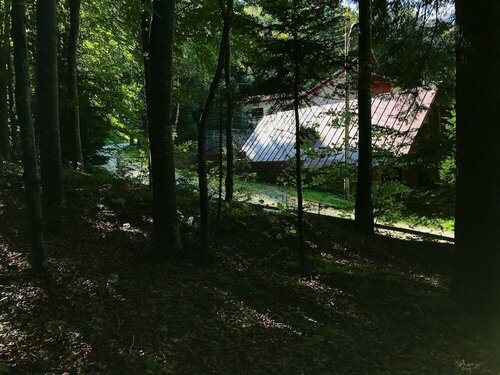 Гостиница Casita del Bosque в Синае