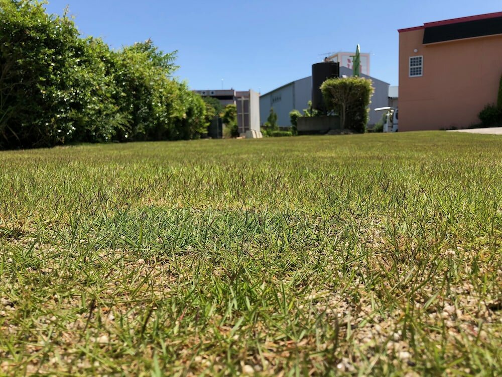 Фото Awajishima Hotel Lodge Green Cozy