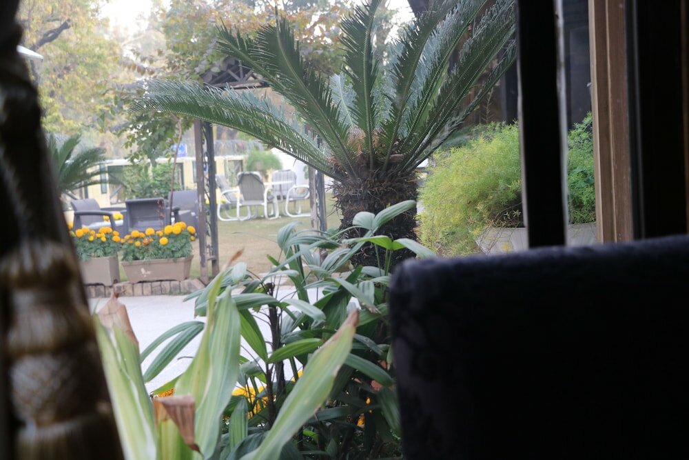 Фото Chateau Royal