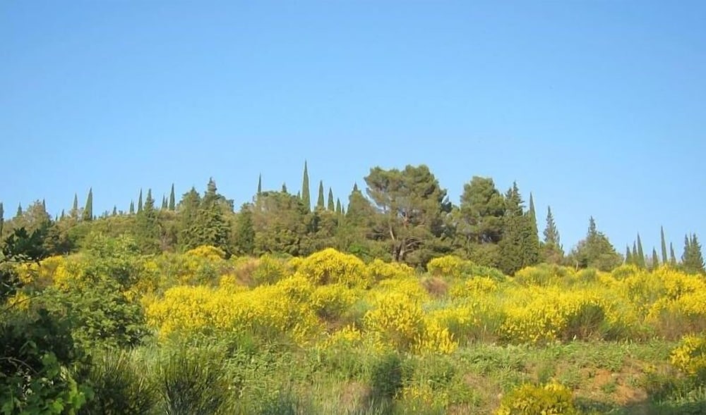 Фото Agriturismo Antica Dimora