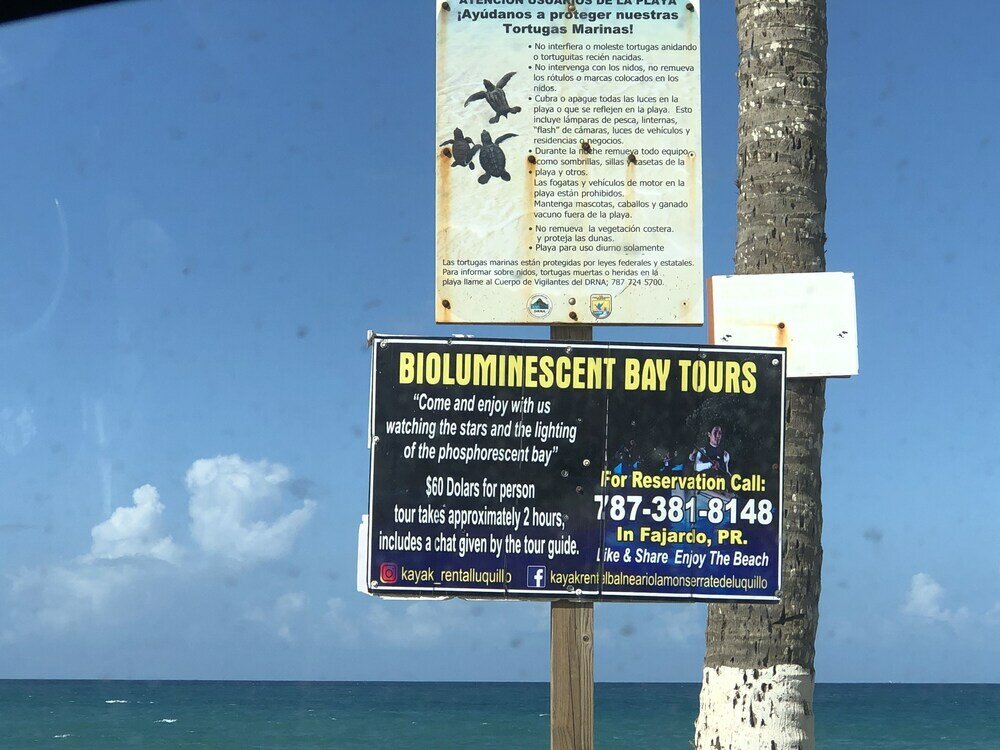 Фото Ocean View Gorgeous 1 Bedroom Apt