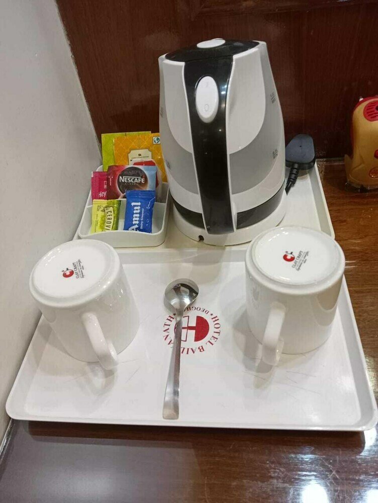 Фото Hotel Baidyanath