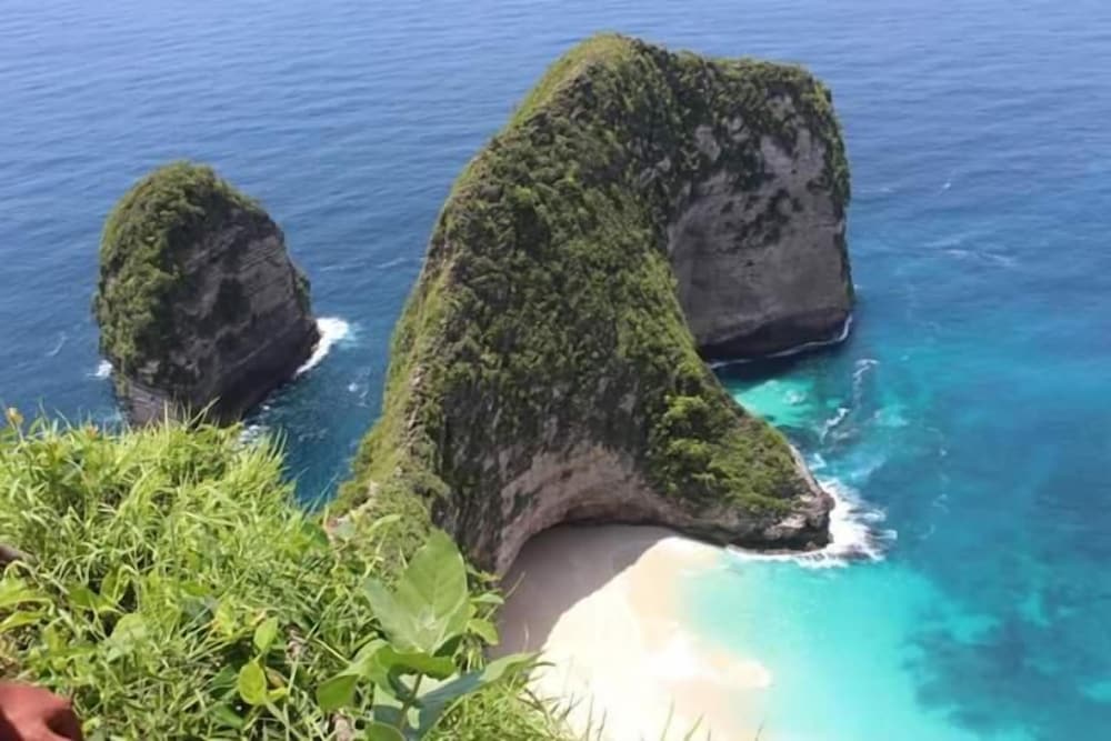 Фото Miasa Homestay