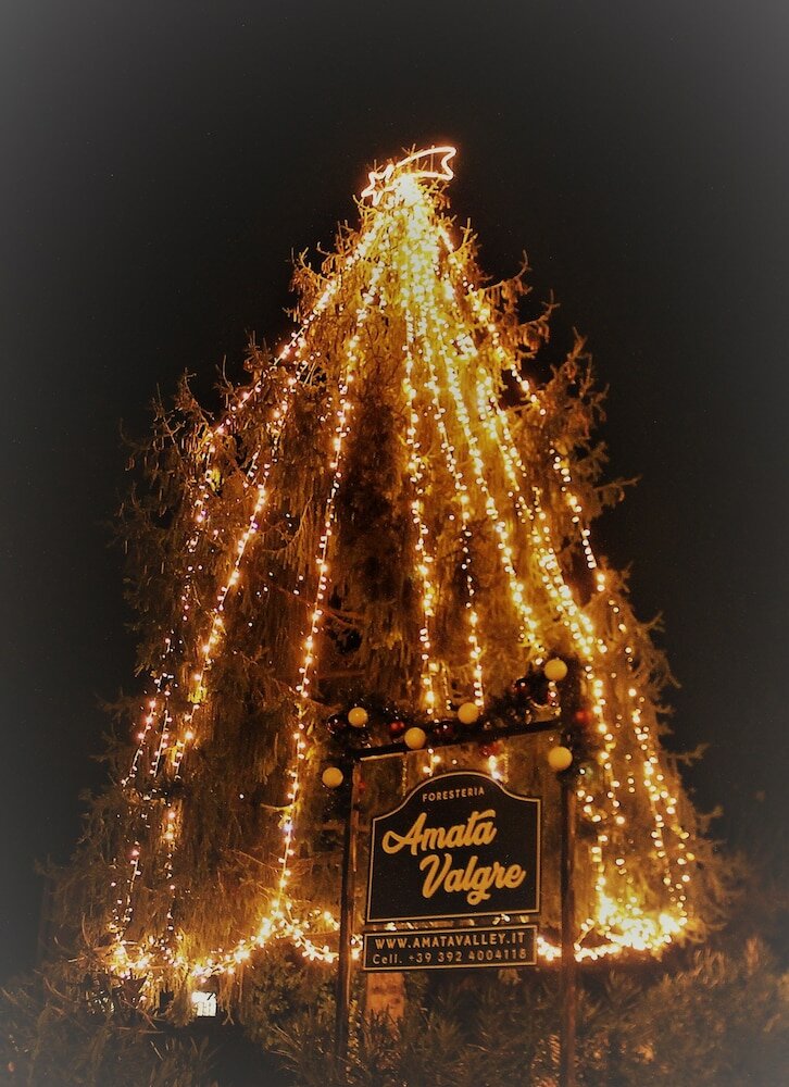 Фото Amata Valgre