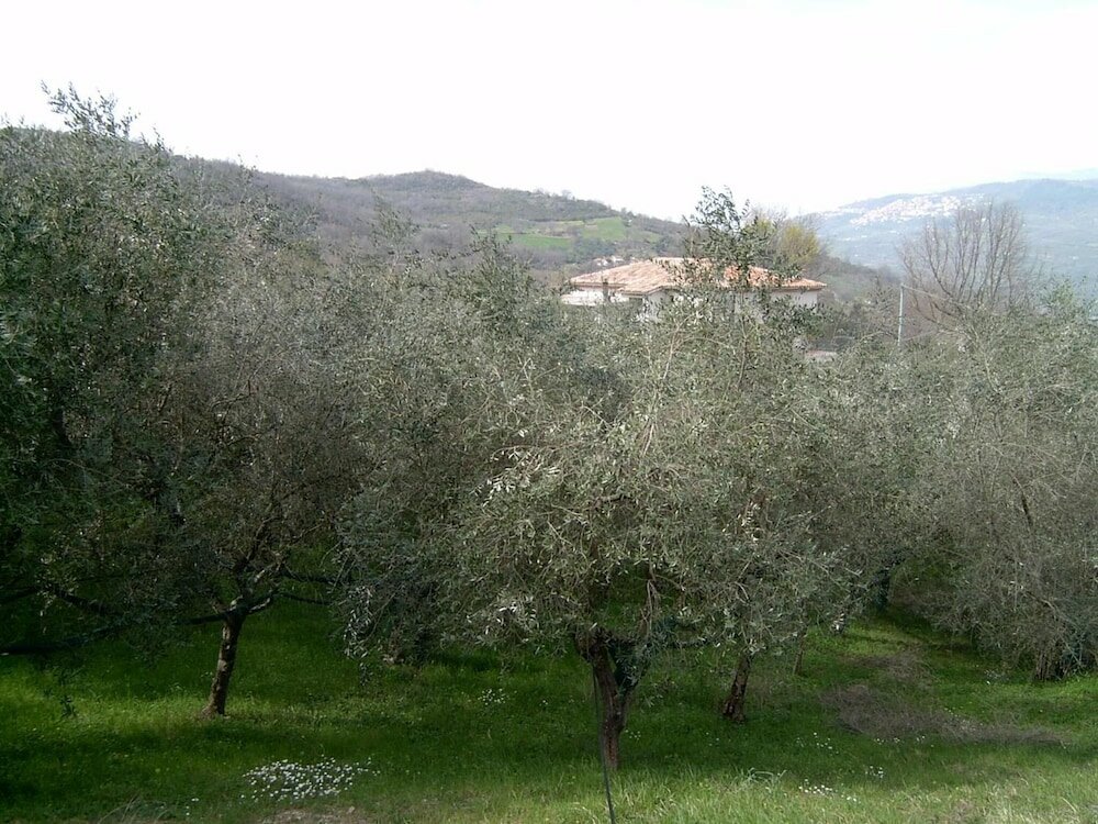 Фото Agriturismo le Cammarose