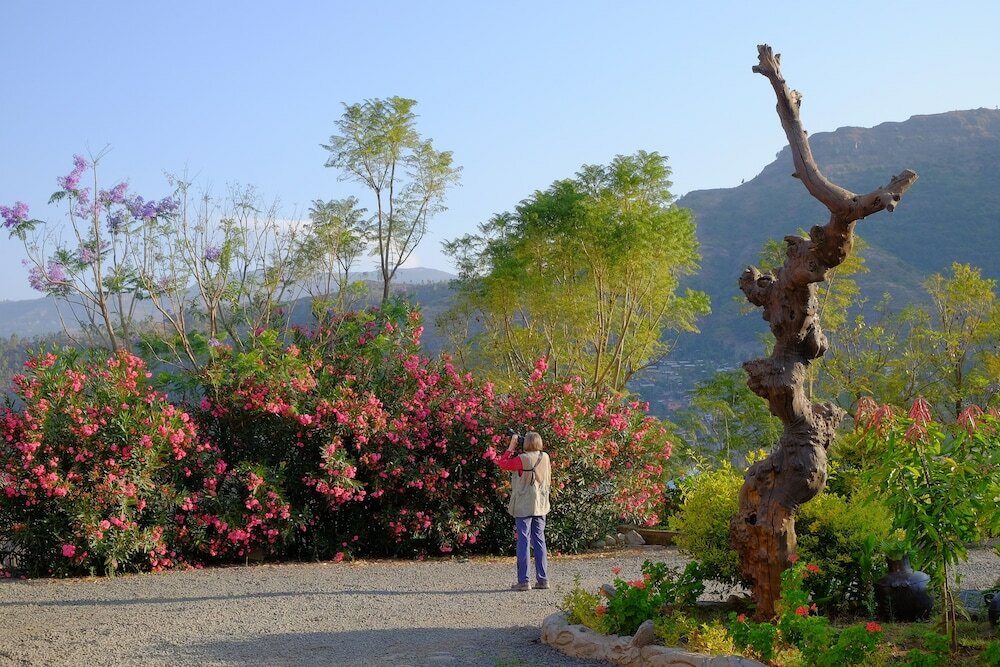 Фото Mezena Resort and SPA