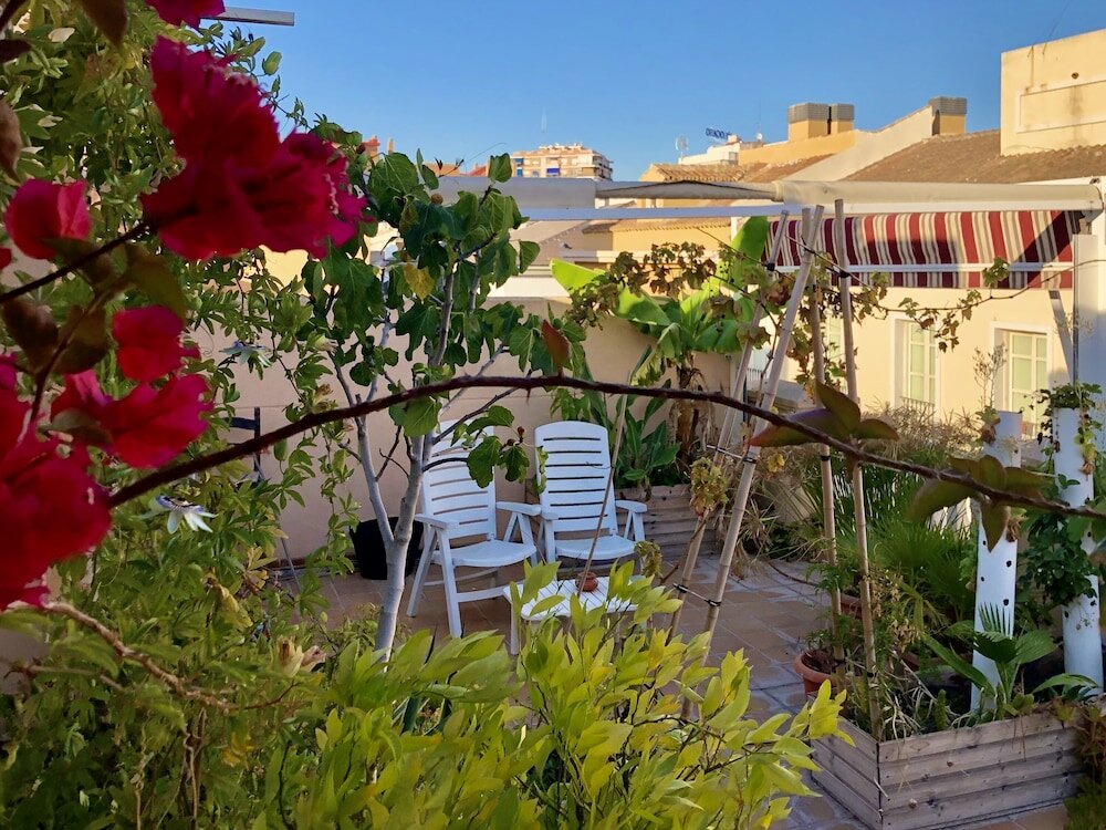 Фото Chick Apartment Malaga