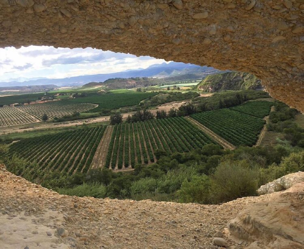 Фото Ripple Hill Hotel