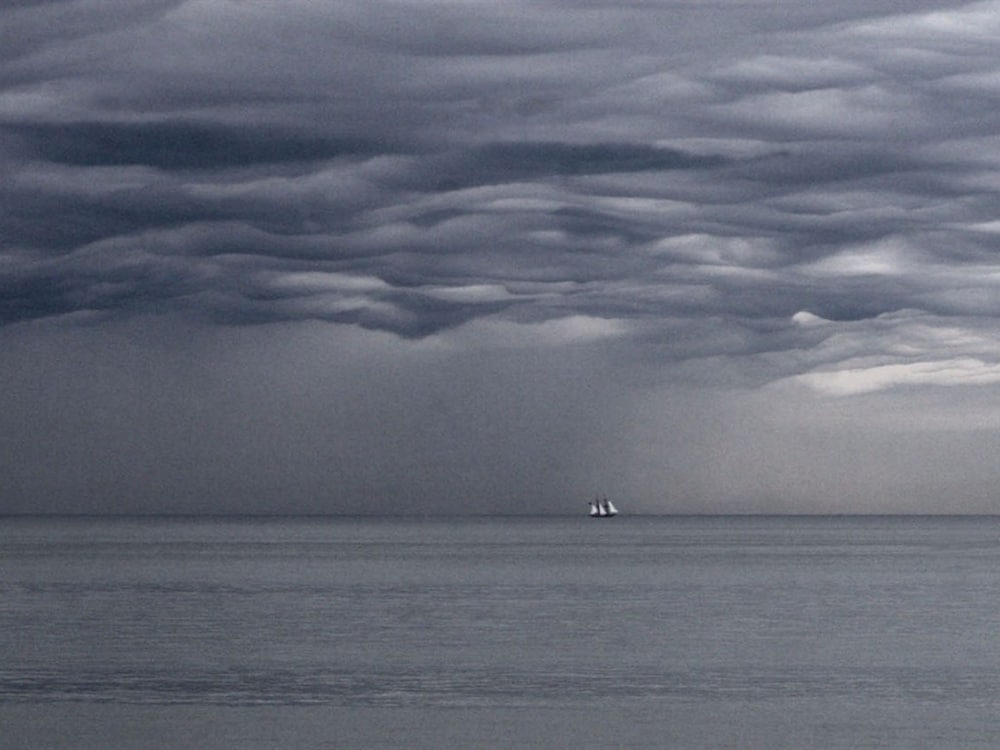 Фото Alexander's