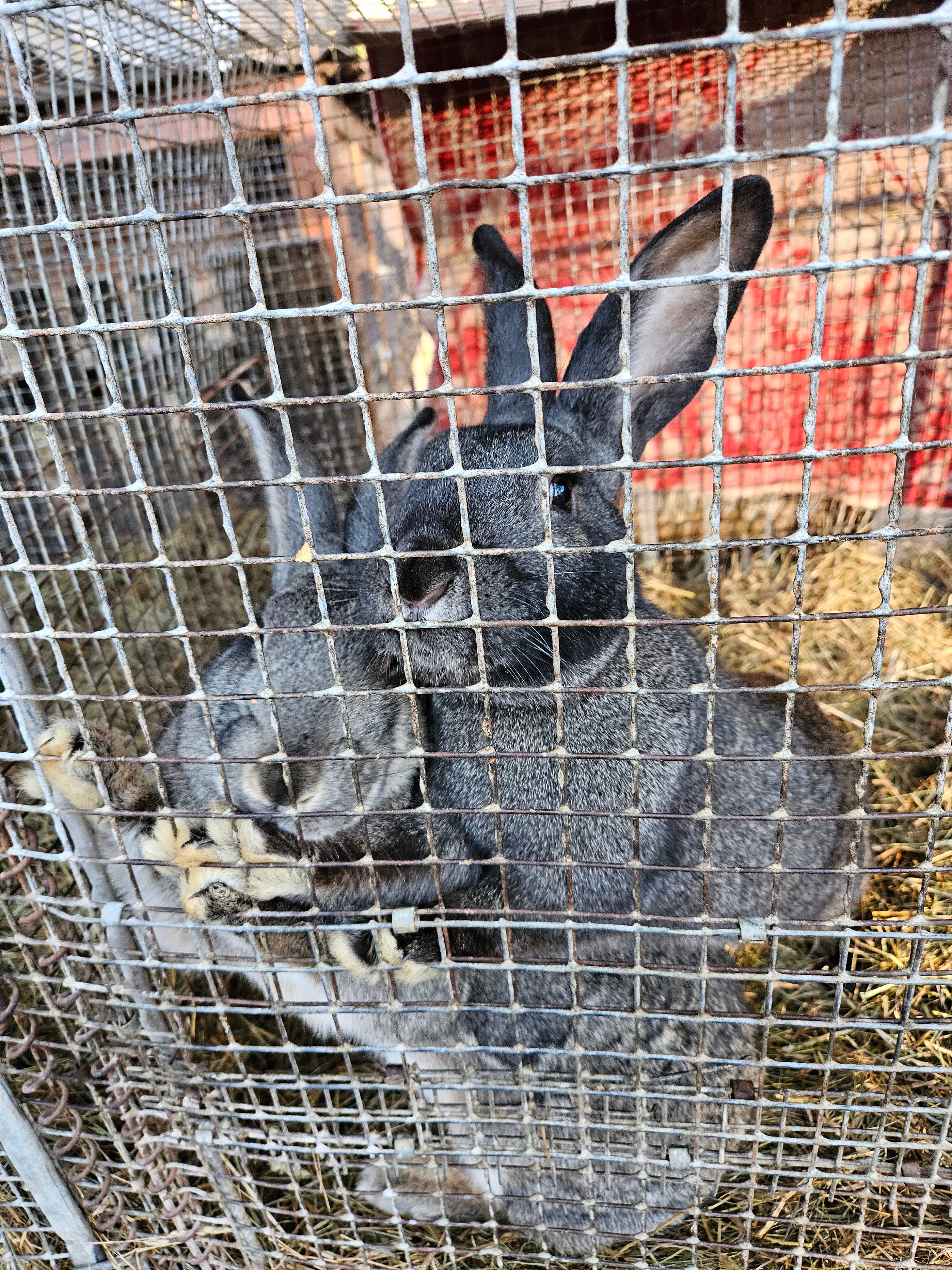 Фото Нью-Ветлуга-Парк