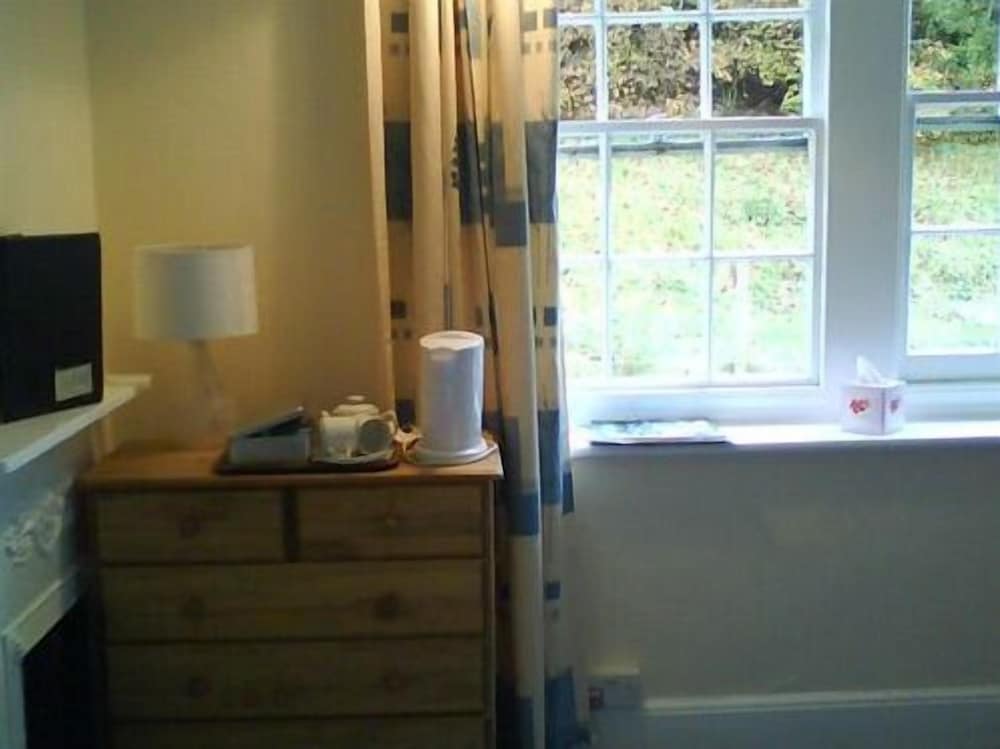 Фото The Forest Inn