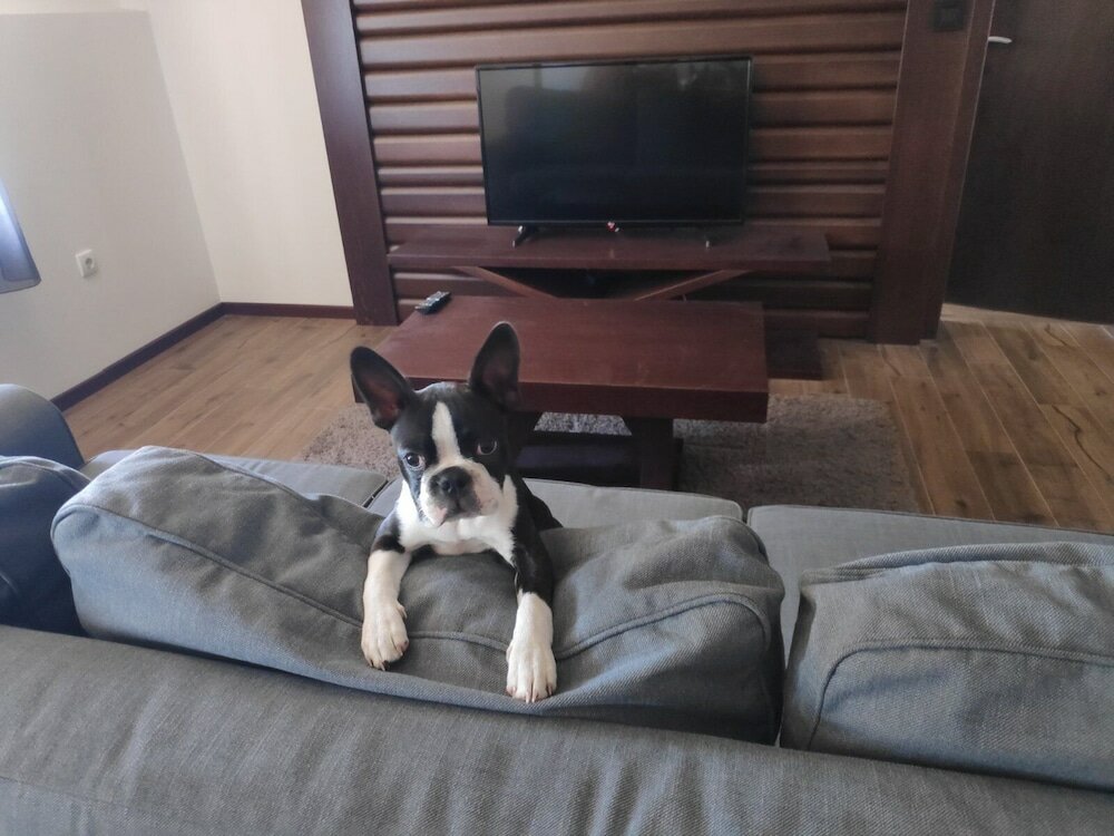 Фото Nicole Kopaonik